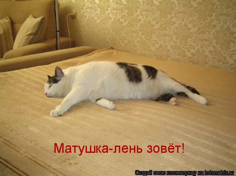 кот валяется на полу. фразеологизм бить баклуши. просто лень. лень играть. лень играть.