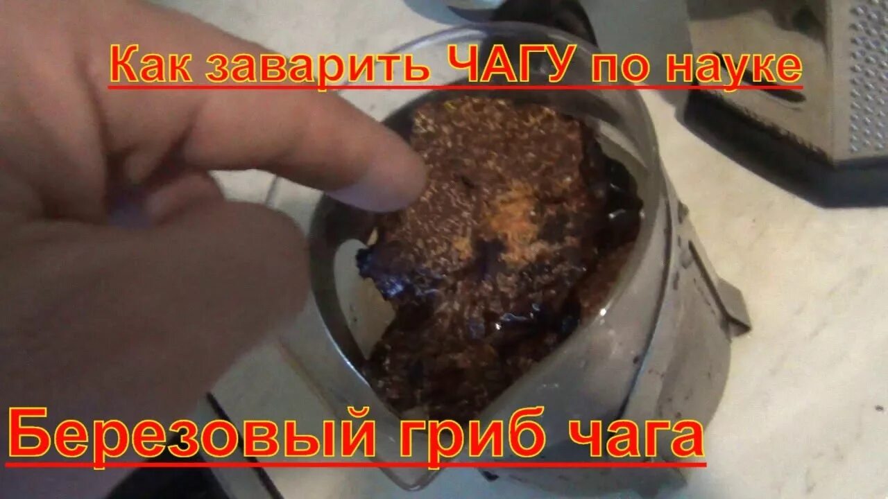 Чага сколько можно заваривать