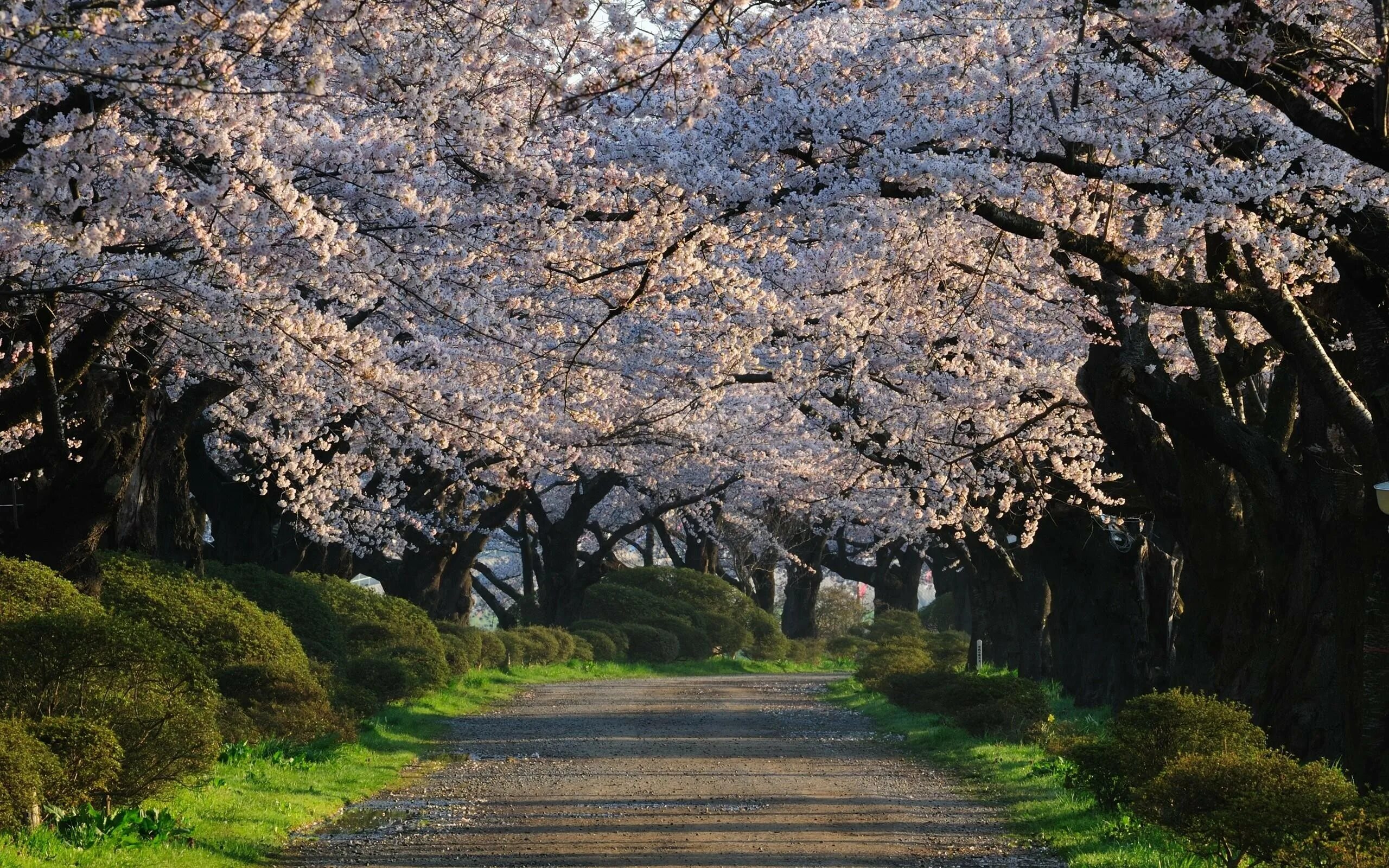 Spring views