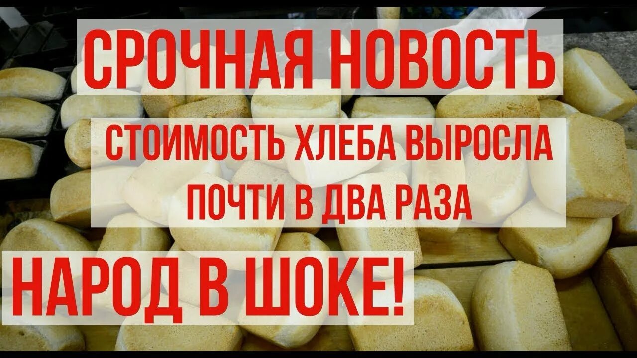 Стоимость хлеба в Узбекистане. Цена хлеба в Узбекистане. Сколько стоит хлеб в Узбекистане. Сколько сум стоит хлеб в Узбекистане.