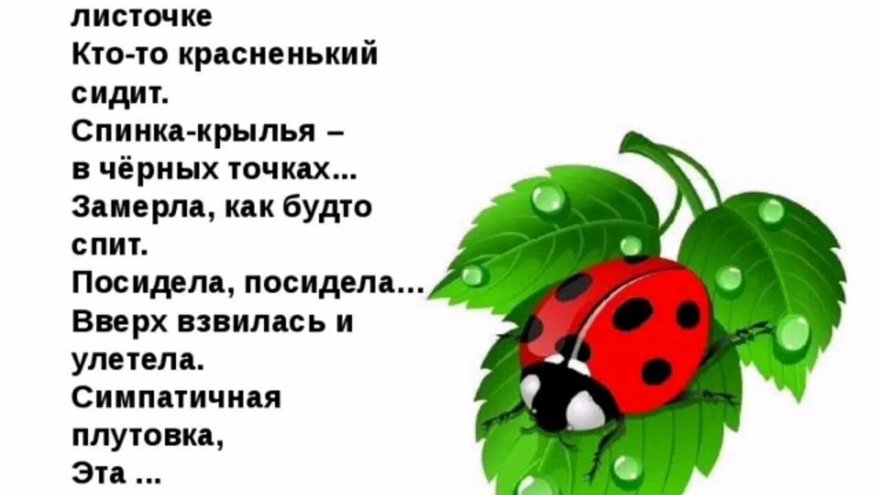 Как пишется божья коровка. Стих про Божью коровку для детей. Загадка про бобую коровку. Стежки про Божью коровку. Стихотворение про Божью коровку для детей.