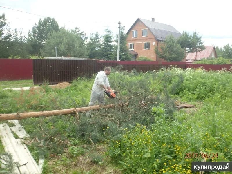 Как очистить участок от деревьев и кустарников