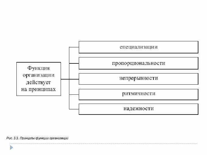 Укажите характеристики функции организации. Принципы функции организации. Реализация функций организации. Функции организации схема. Принципы организации функциональным функция.