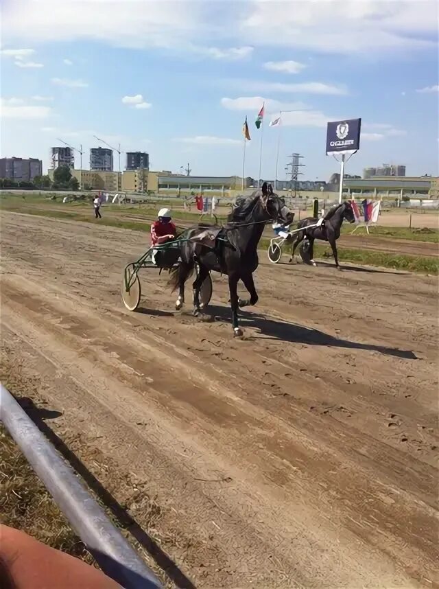 25 ноября тюмень