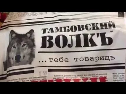 Тамбовский волк тебе товарищ откуда