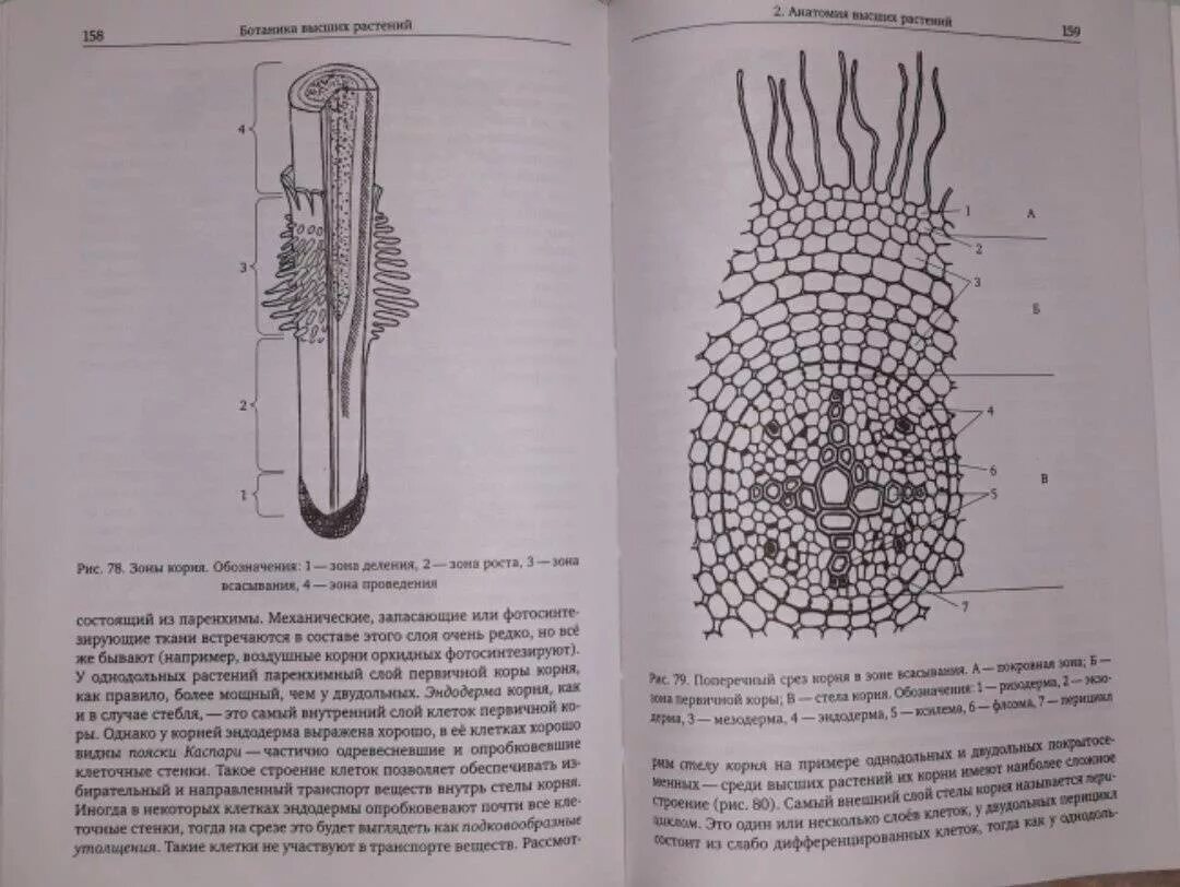 Для «чайников» биология. Книга практика биология для олимпиадников. Практическая биология для олимпиадников книга. Биология кузнецова. Практическая биология.