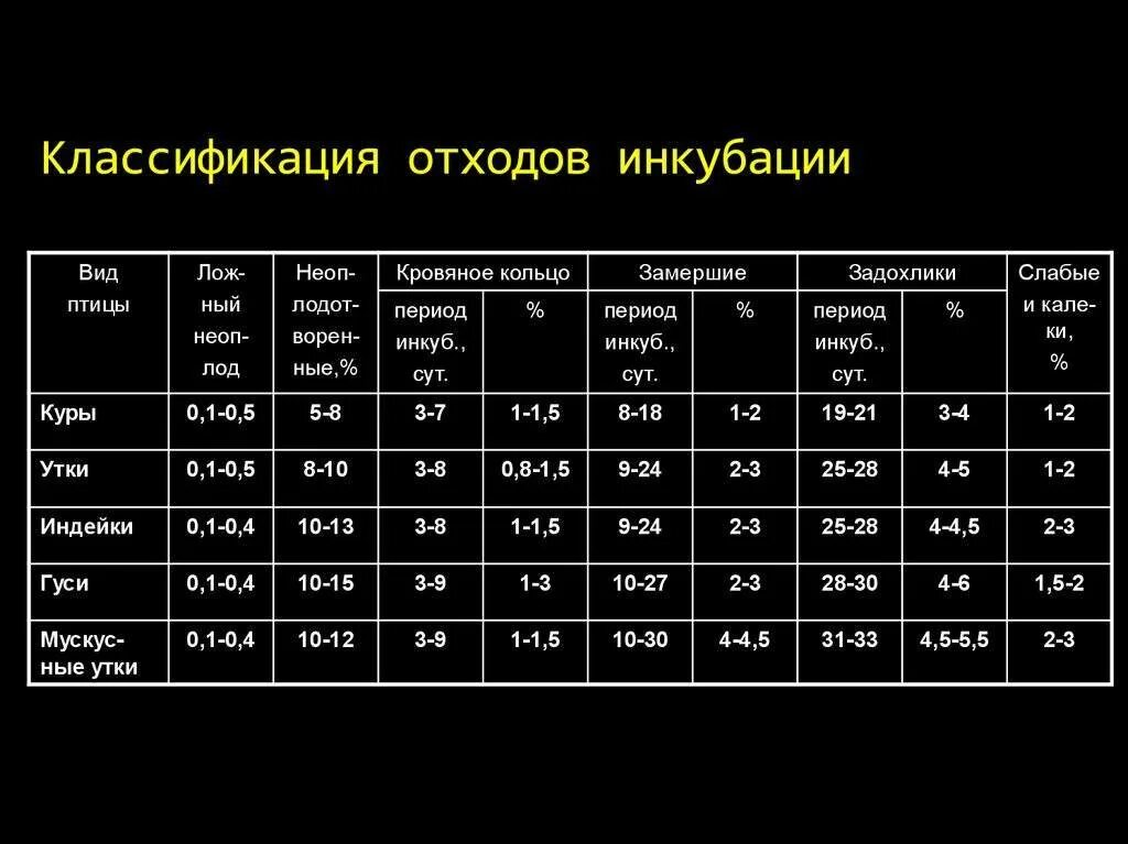 Какая температура в инкубаторе для утиных. Таблица инкубации гусиных яиц в инкубаторе. периоды инкубации куриных яиц таблица. таблица инкубации гусиных яиц. режим инкубации мускусных уток в инкубаторе таблица.