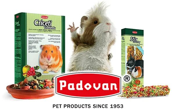 Купить корм в туле. Padovan логотип. Корм Padovan логотип. Padovan корм для грызунов. Padovan логотип для животных.