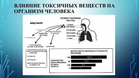 Радиоактивные вещества проникают в организм человека