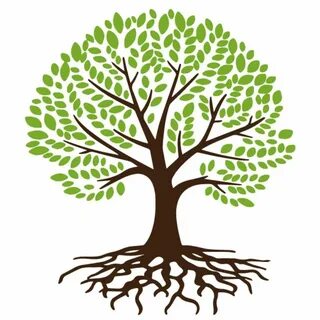 Classes tree