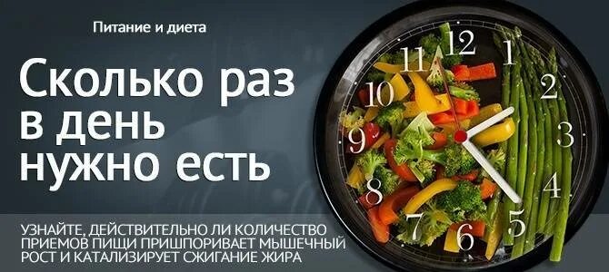 За сколько минут до еды нужно. Сколько нужно есть в день. Количество приемов пищи в день. Сколько раз в день нужно есть. Сколько нужно кушать в день.