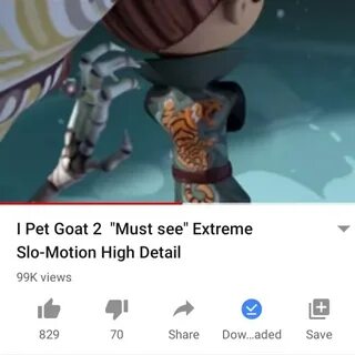 Can i pet