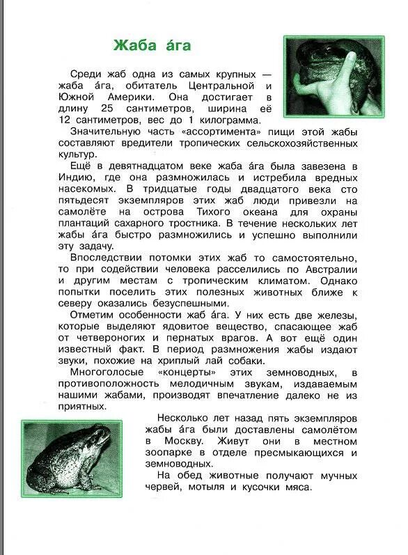 Жаба ага комплексная работа 3 ответы. Жаба ага 3 класс. Итоговая контрольная работа жаба ага 3 класс. Комплексная контрольная работа 3 класс школа России жаба ага. Итоговая комплексная работа 3 класс жаба ага.