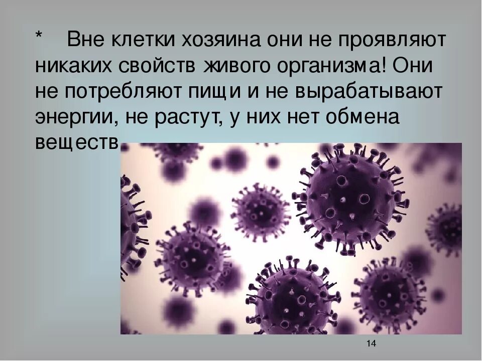 Вирусы способны к самостоятельному обмену. Вирусы вне клетки. Вирус вне клетки хозяина. Вирусы 5 класс биология. Вирусы это живые организмы.