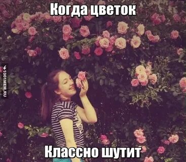 Алиса чтоб ты сдохла