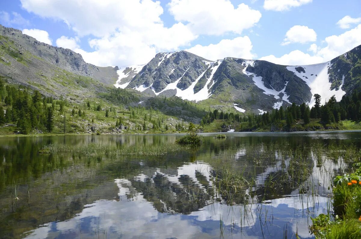 Каракольские озёра горный алтай лето. Каракольские озера экскурсии. Каракольские озера алтай. Каскад каракольских озер. Чемал каракольские озера.