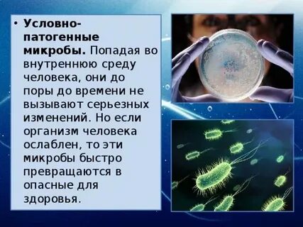 Патогенные вирусы вызывают