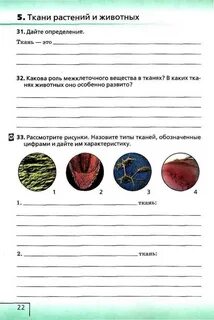 Тпо биология 6