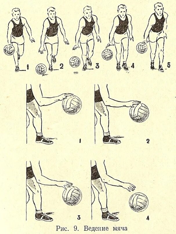 Техники ведения мяча в баскетболе. Техника ведения мяча в баскетболе схемы. Баскетбол введние мяч техника. Низкое ведение мяча в баскетболе техника выполнения. Вести мяч можно