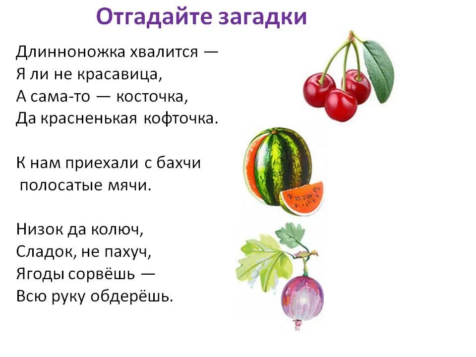 Пословица дерево в плодах. Загадки про плоды. Загадки про ягоды. Загадки на тему ягоды. Загадки про фрукты и ягоды.