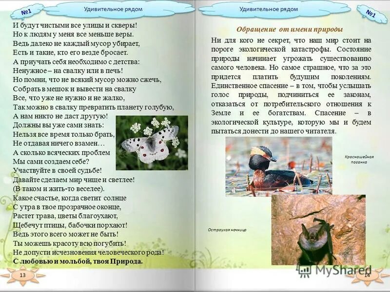 Рассказы интересное рядом