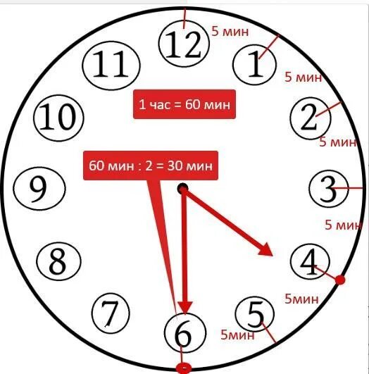 Пол часа ровно. Часы на полпятого. Пол пятого на часах. Часы пол первого. Половина 5 на часах.