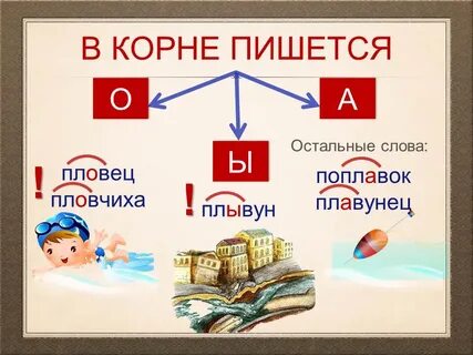 На плаву корень