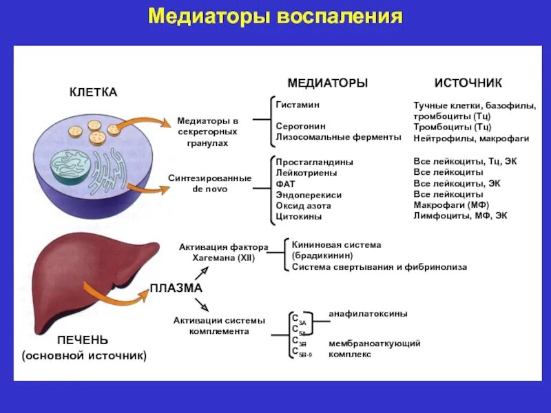 Клеточные медиаторы воспаления. Основные источники клеточных медиаторов воспаления. Клеточные и гуморальные медиаторы воспаления. Медиаторы воспаления клетки. Клеточные медиаторы воспаления основные эффекты.