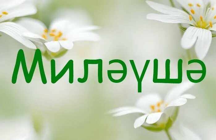 Миляуша надпись. Миляуша открытка. С днём рождения миляуша. С днём рождения миляуша открытки. Картинки с именем миляуша.
