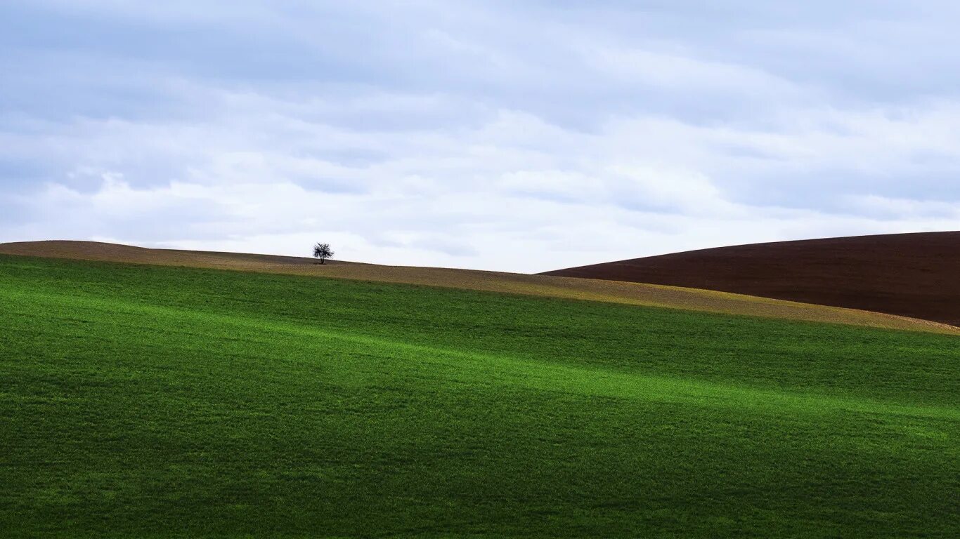 Холм газон. «Зеленые холмы». Ровное поле. Холм лужайка. Query field