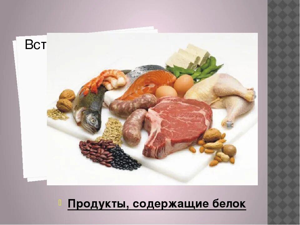 Продукты содержащие белки. Еда в которой содержатся белки. Продукты которые содержат белок. В каких продуктах содержится белок.