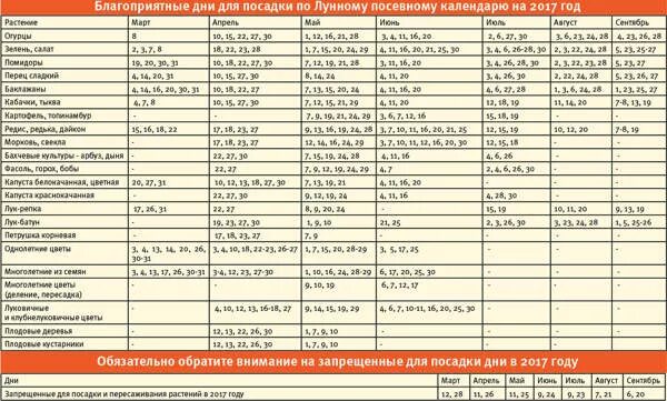 Посадка огурцов лунный календарь на июнь. Огурцы благоприятные дни для посадки. Благоприятные дни для посадки огурцов в июне. Посадочные дни огурцы. Благоприятные дни для посева семян огурцов