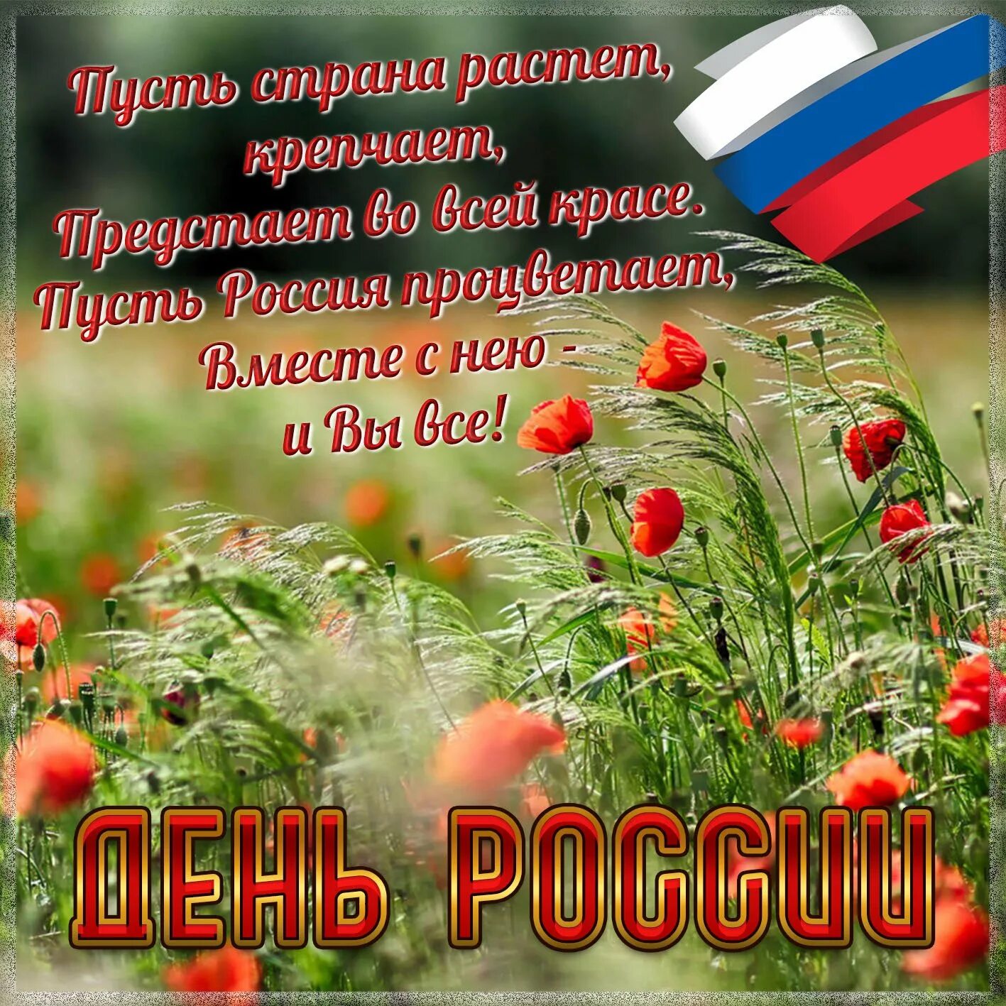 Российский пожелать. С днем России поздравления. С днём России 12 июня. Пздравления с днём России. Открытки с днём России.