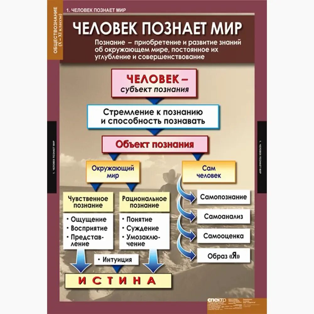 Наглядное пособие человек