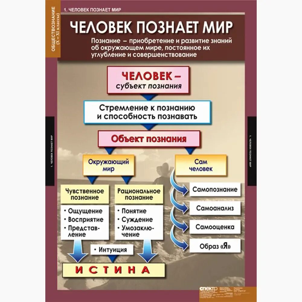 Обществознание. Комплект таблиц Обществознание 10-11 классы (11 таблиц). Плакат по обществознанию. Наглядные пособия по обществознанию.