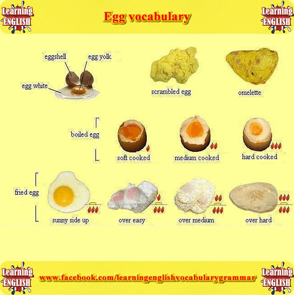 Как по английски будет яйцо. Egg Vocabulary. Types of Eggs. Types of cooked Eggs. Types of Fried Eggs.