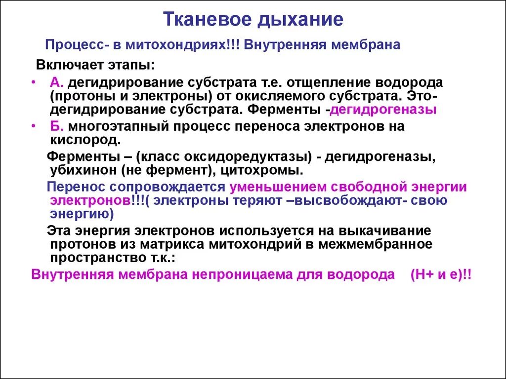 Последовательность этапов процесса дыхания. Биохимические механизмы тканевого дыхания. Этапы тканевого дыхания. Дегидрирование субстратов. Этапы тканевого дыхания биохимия.