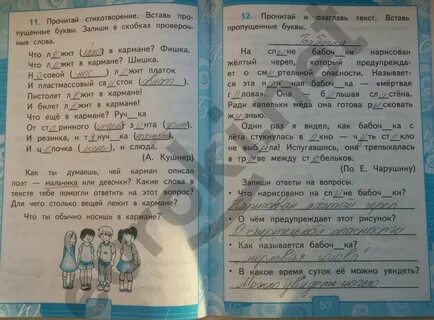 Решебник по родному языку 3 класс