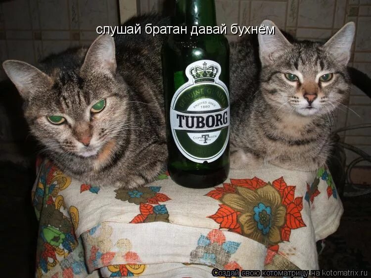 зиппо братан. текст братан давай. Zippo остаток слов. давай с тобой поговорим стихи. привет братан прикол.