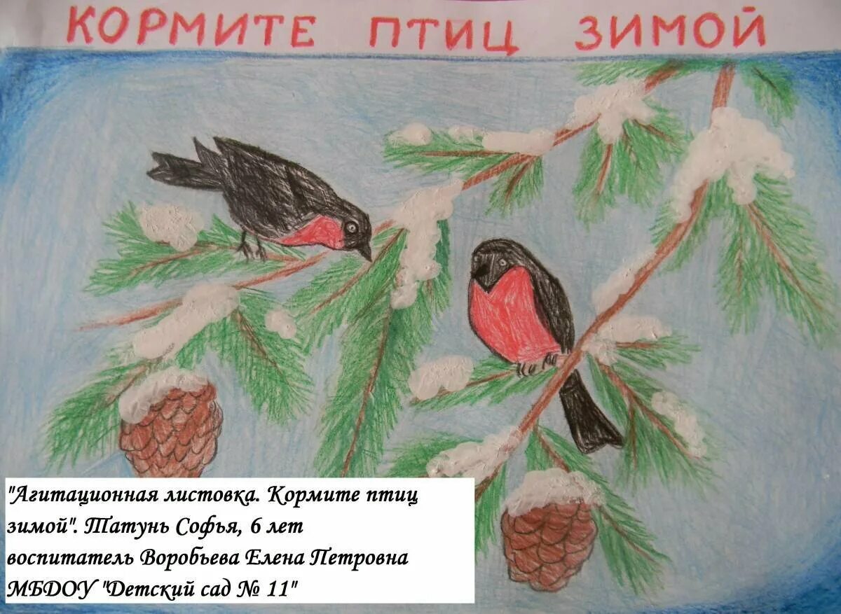 Защитим птиц зимой. Плакат птицы. Рисунок на тему берегите птиц. Конкурс листовок Покормите птиц зимой.
