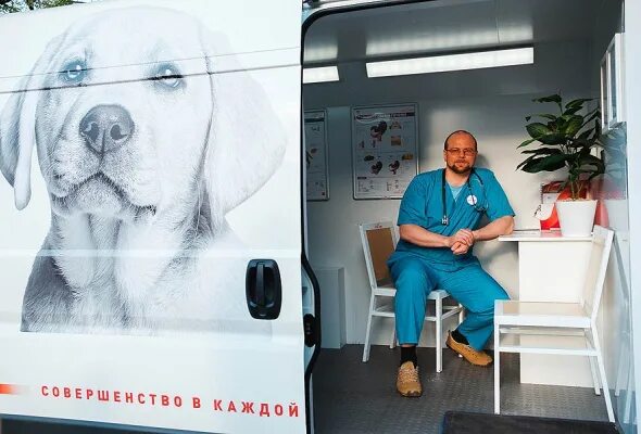 Ветеринар диетолог. Ветеринар. Ветеринарная диетология. Нигова екатерина алексеевна. Ветеринар диетолог.