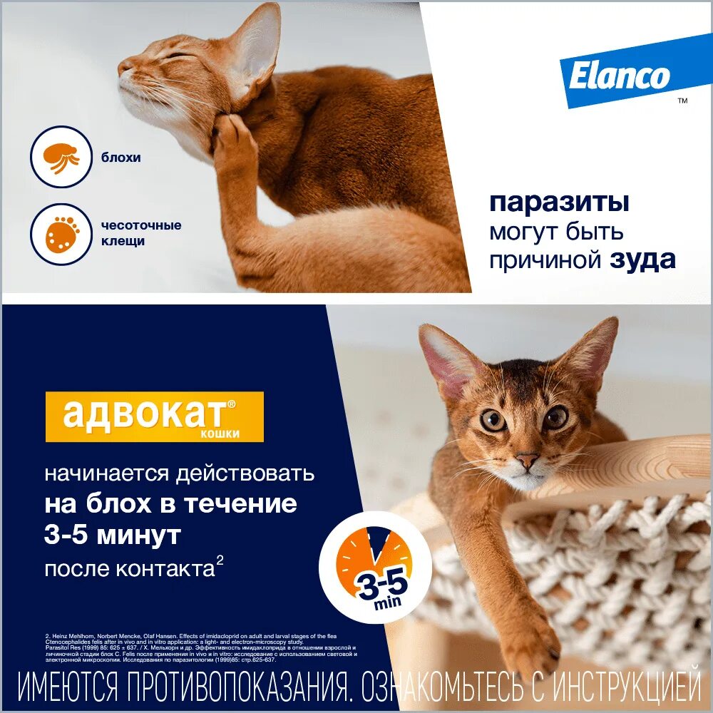 Капли Advocate для кошек. Bayer адвокат капли на холку для кошек более 4 кг, 1 шт. Адвокат Байер для кошек. Bayer адвокат для кошек 4-8 кг (1 пипетка, 0,8 мл.). Адвокат для кошек отзывы