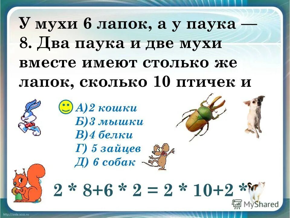 Сколько лапок у 6 жуков. Сколько всего лап у паука. Сколько лап у паука и жука. Сколько лап у паука 6. Зачем пауку 8 ног.