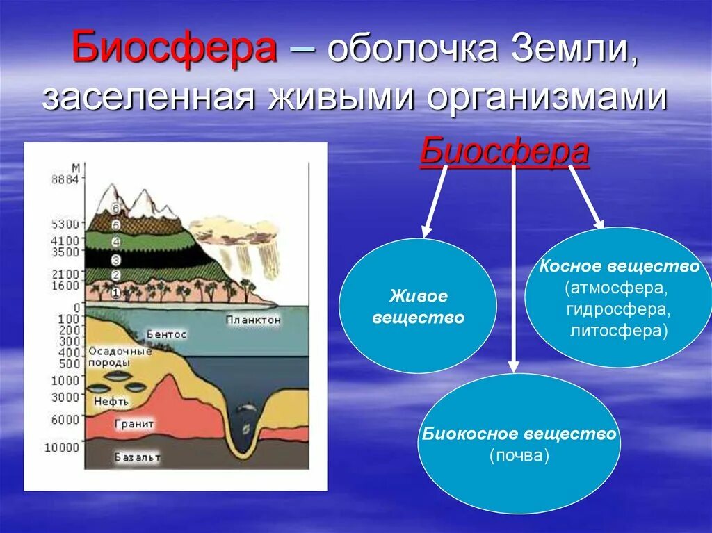 Урок биосфера земная оболочка 6 класс