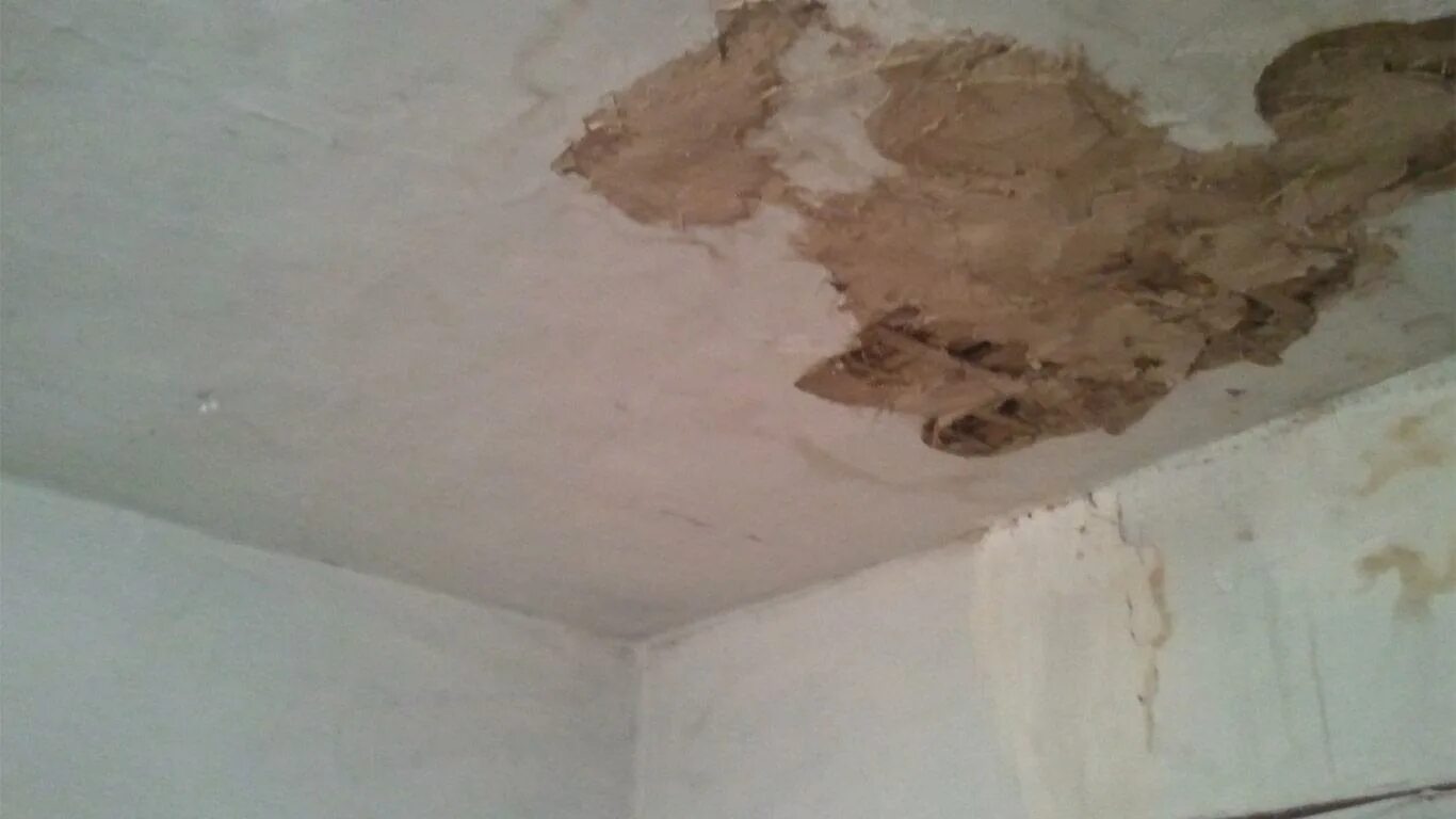 Потолок обклеить обоями. Потолок на старые обои. Штукатуренный потолок. Демонтаж штукатурки с потолка. Клеем потолки потолочной плиткой.