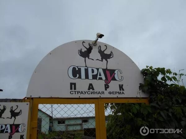 Страусиная ферма карта. Страусиная ферма пермь усть качка. страусиная ферма пермь страус парк. страусиная ферма пермский край. страусиная ферма пермь кондратово.