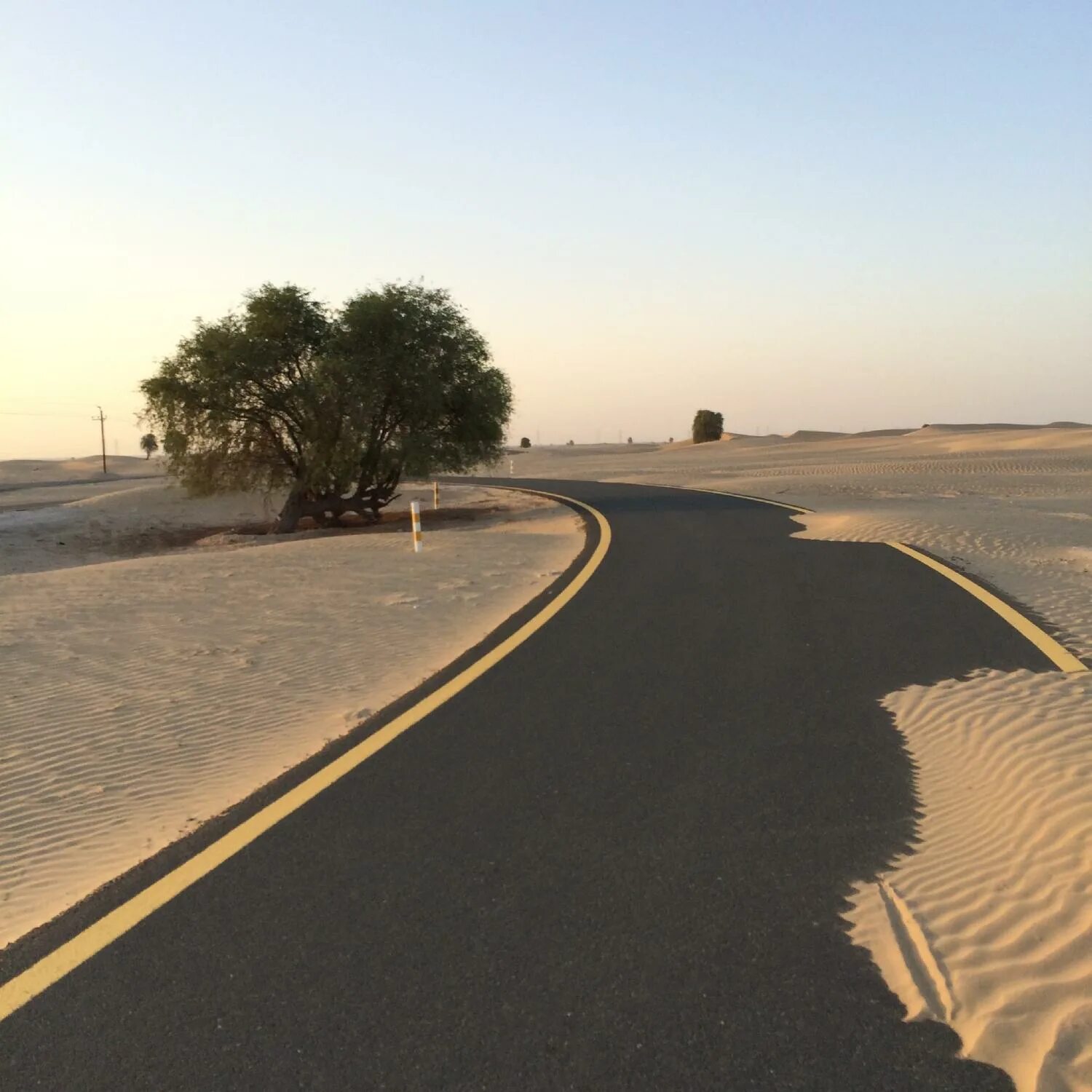 Дубай трасса. Al Qudra Cycle track. Велотрасса в Дубае Аль Кудра. Al Qudra Cycle Path. Дубай: трасса e11.