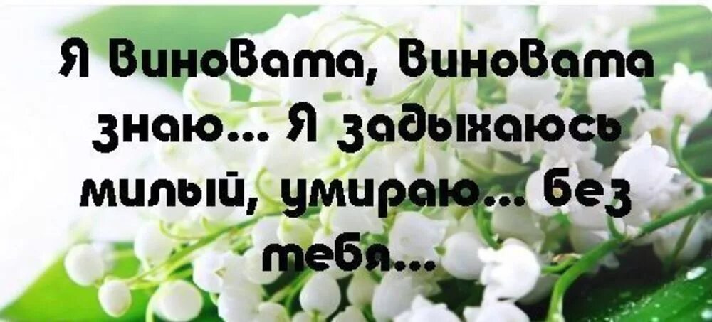 Нивчем не виноват. Знаю мама я виновата. Дневник обиды. Психолог виновата мать. Я виноват стих.