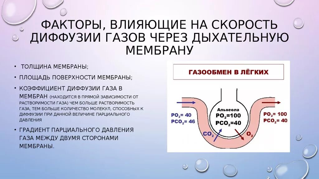 Обмен газов между альвеолярным воздухом. Газообмен физиология дыхания. Факторы влияющие на газообмен в легких. Газообмен между легкими и атмосферой. Факторы влияющие на скорость диффузии газов.