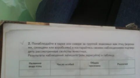 Рассмотри результаты наблюдения